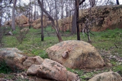 Granite terrain, Victoria.